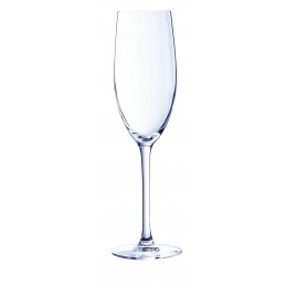Copa Flauta Cabernet  24...