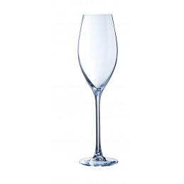 Copa Cava  flauta 24 cl...